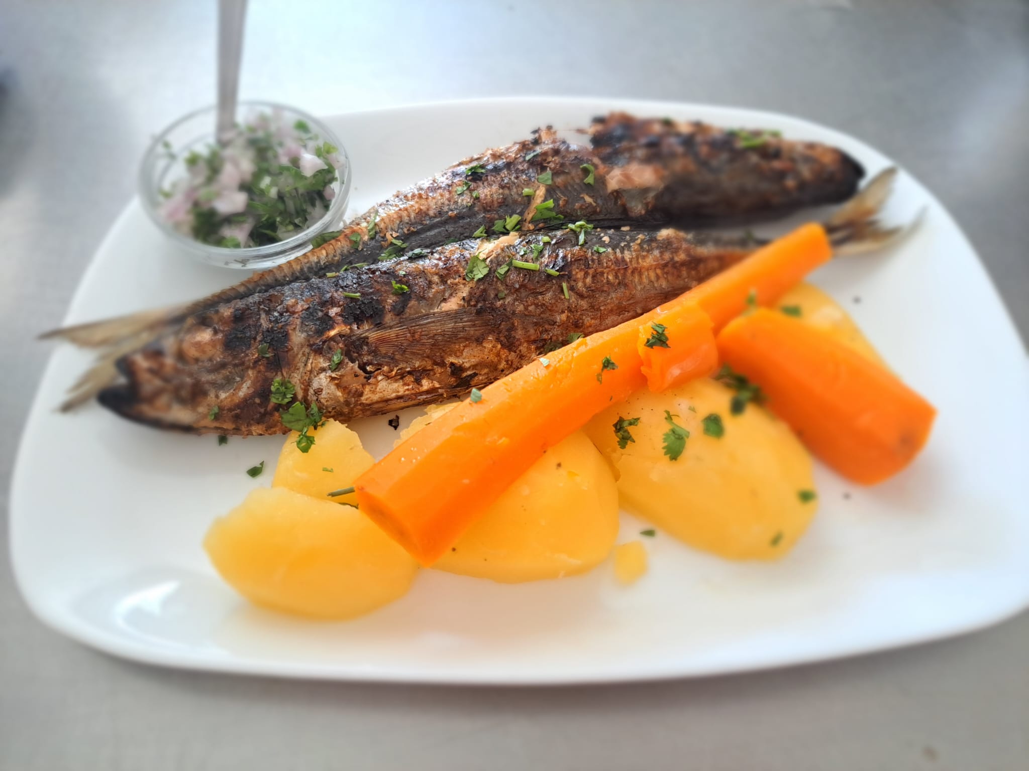 whatsapp image 2026 02 10 at 12.38.32 (3)